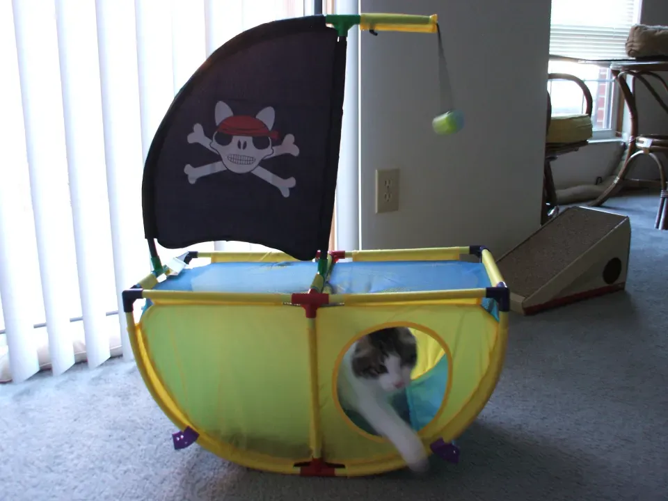 My pirate ship shall rule the seas!